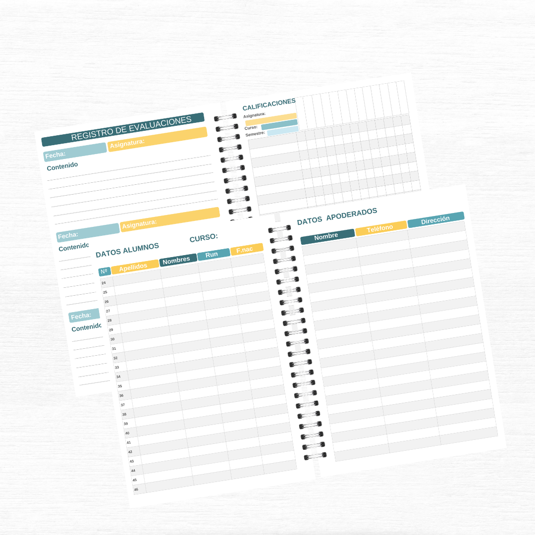 Agenda Profesor II