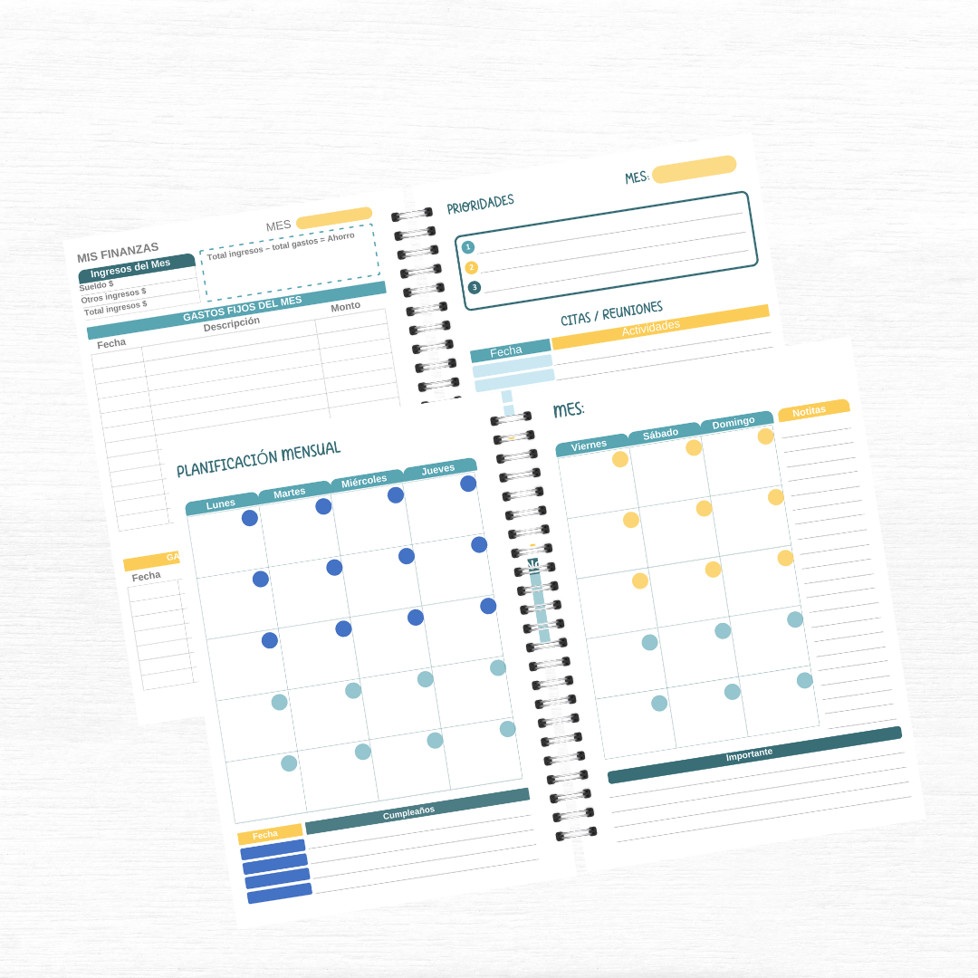 Agenda Profesor II