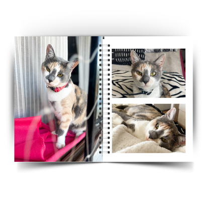 Photobook Mascotas