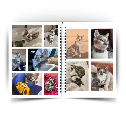 Photobook Mascotas