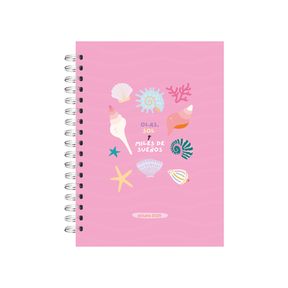 Agenda Vibes 2026