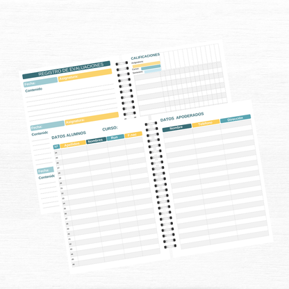 Agenda Profesor II