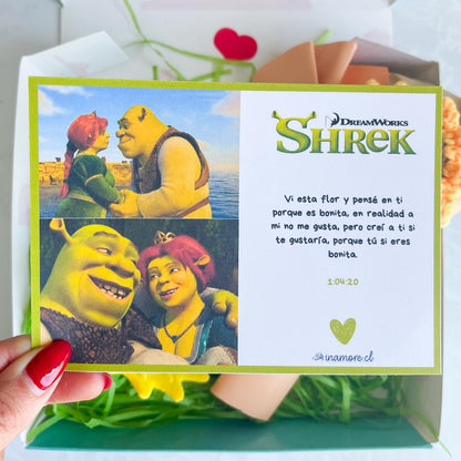 BOX SHREK